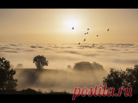 Шум в голове. Продолжение