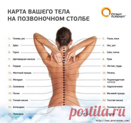 Болит спина? Найдите, где именно!
