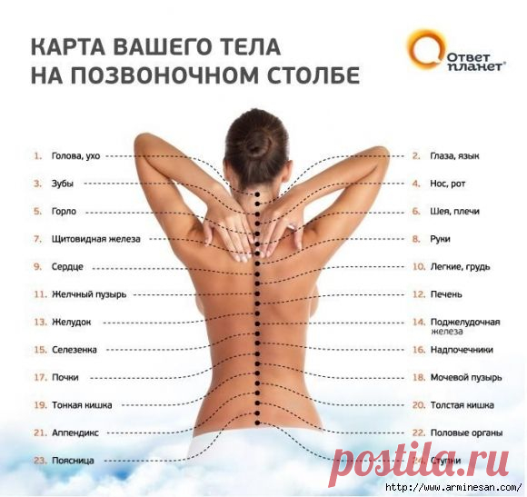 Болит спина? Найдите, где именно!