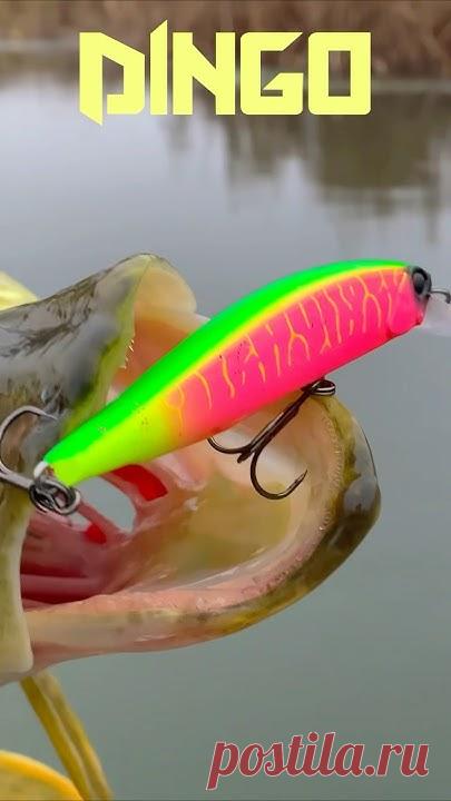 Воблер Dingo 100s это медленно тонущий типичный твичинговый воблер с рабочим заглублением 0,5-1,2 м. Кстати у оригинала в линейке нет тонущего варианта, толь...