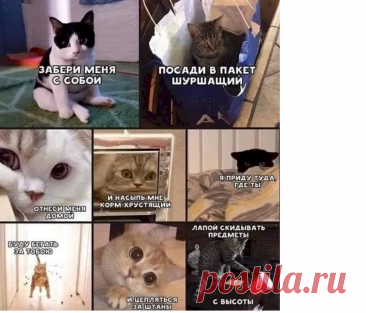 aabefd01.png (905×774)