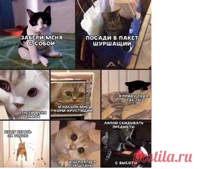 aabefd01.png (905×774)