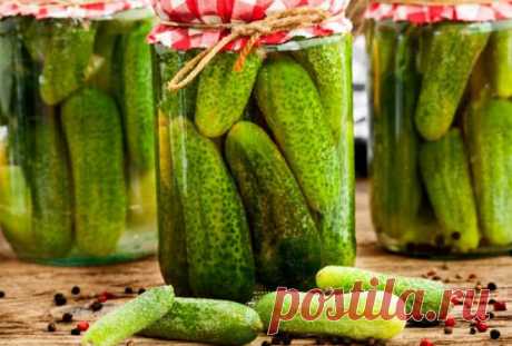 Все просят рецепт таких огурчиков Данный рецепт наш семейный, ему уже много лет. Кто первый раз пробует – просит рецепт! Попробуйте! Огурчики, хрустящие и с новым (не классическим) вкусом.
 

Ингредиенты для «Огурчики «Все просят реце…