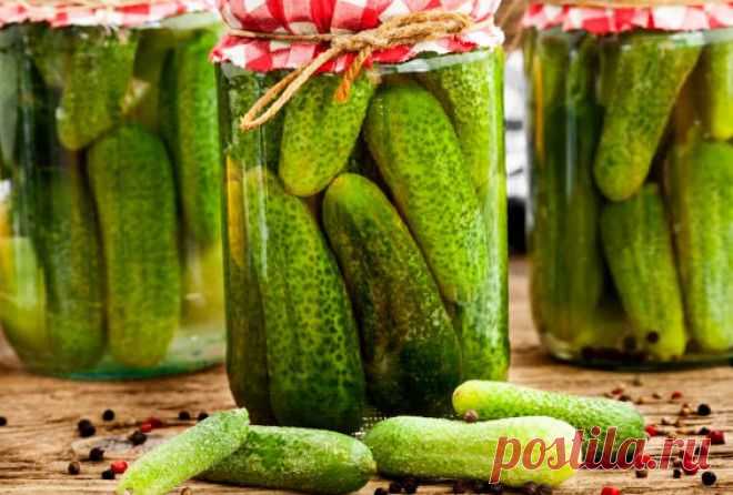 Все просят рецепт таких огурчиков Данный рецепт наш семейный, ему уже много лет. Кто первый раз пробует – просит рецепт! Попробуйте! Огурчики, хрустящие и с новым (не классическим) вкусом.
 

Ингредиенты для «Огурчики «Все просят реце…