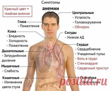 ЛЕЧЕБНЫЕ ТРАВЫ- Лечение народной медициной | ЗОЖ