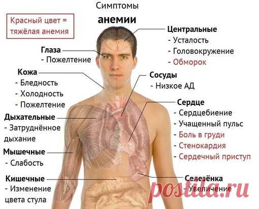 ЛЕЧЕБНЫЕ ТРАВЫ- Лечение народной медициной | ЗОЖ