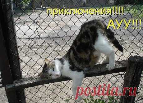 Где же приключения?