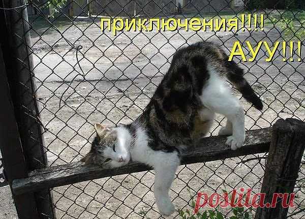 Где же приключения?