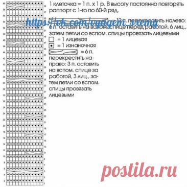 Back Decolletage Beautiful Blouse