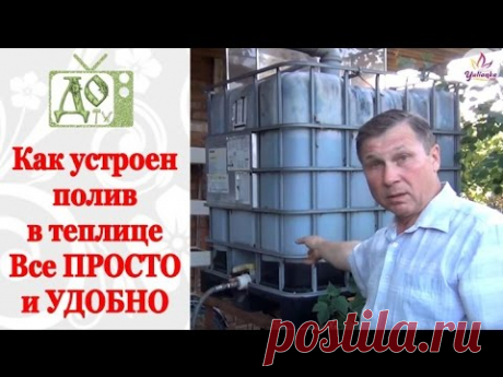 АВТОМАТИЧЕСКИЙ ПОЛИВ в теплице СВОИМИ РУКАМИ  + почему отпадают завязи в у томатов