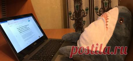 Как устроен бизнес перекупщика акул из IKEA: драки в очередях, заработок 60 тысяч рублей в неделю и монополизация Avito