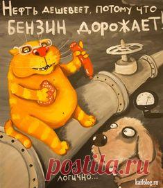 клиника Кракова Фаршмака..