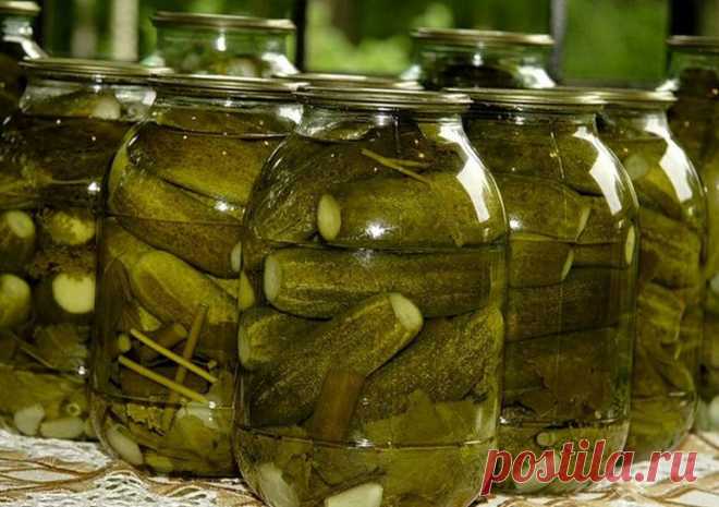 Необычный и вкусный рецепт засолки огурцов на зиму в банках: выбор продуктов, особенности приготовления