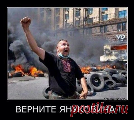 ДЕБИЛЫ, БЛ…ДЬ!
