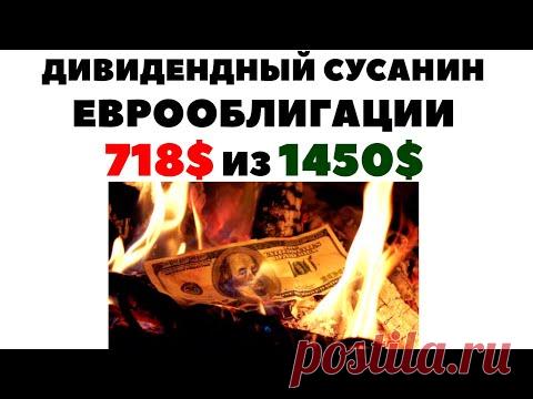 🌍💸 Еврооблигации и Сусанин с дивидендными акциями: Куда лучше вложить деньги?