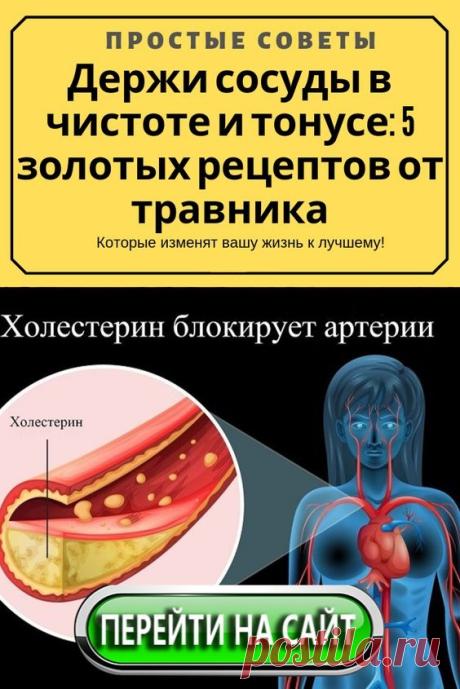 Записывайте уникальные, проверенные временем рецепты для чистки сосудов о которых молчат врачи.