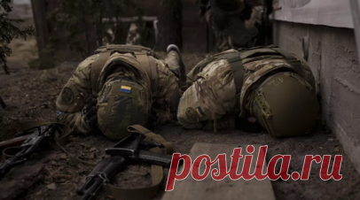 ВСУ потеряли до 500 специалистов при ударе ВС России по Полтаве. Вооружённые силы Украины потеряли до 500 специалистов убитыми и ранеными в результате удара ВС России по их тренировочному центру в Полтаве. Читать далее