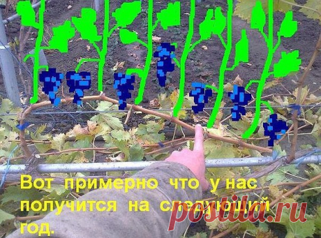 (98) Одноклассники
