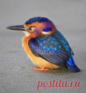 Decore com Gigi: AZUL-TURQUESA, na simplicidade.
