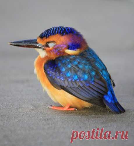 Decore com Gigi: AZUL-TURQUESA, na simplicidade.