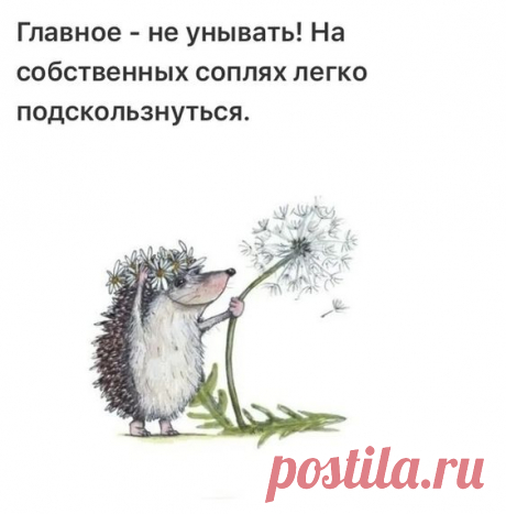 (210) Pinterest