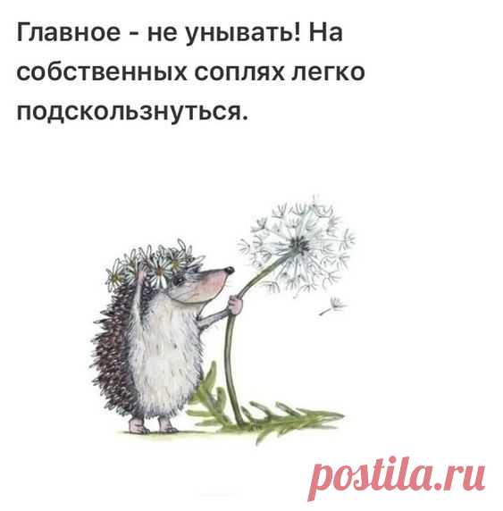 (210) Pinterest