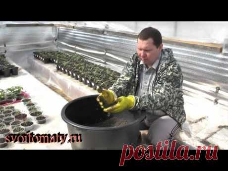 Как кардинально улучшить покупной грунт - YouTube