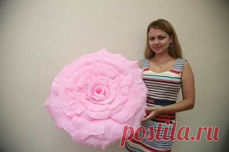 Запись на стене Гигантская роза из бумаги.