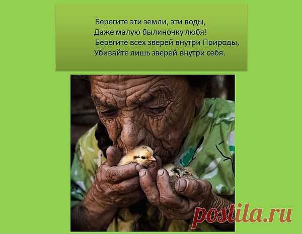 Интересные новости