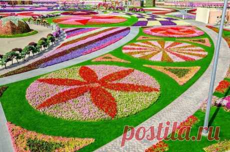 Сад чудес в Дубае: 20 великолепных видов цветочного парка