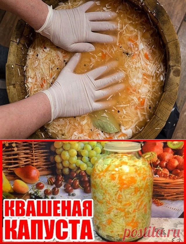 (75) Одноклассники