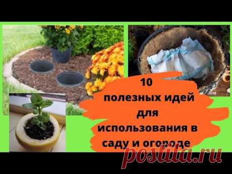 10 полезных идей для использования в саду и огороде