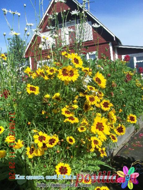 Удобрение для дачи.