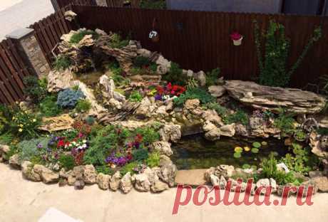 Казахстанский ДАЧНИК - ЦВЕТОВОД
Ия Полякова ( Муратова)