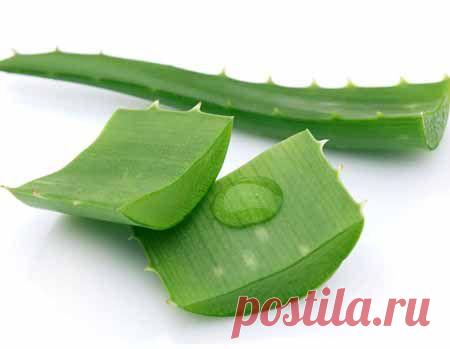 Боремся с блескомКрасота и здоровье | Красота и здоровье