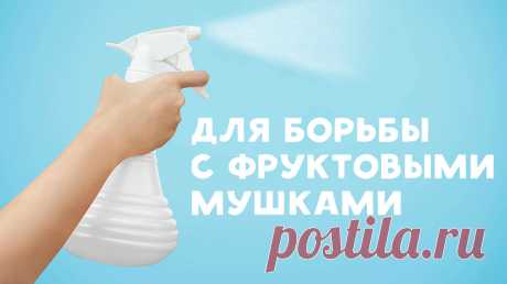 Использование спирта в быту | Делимся советами