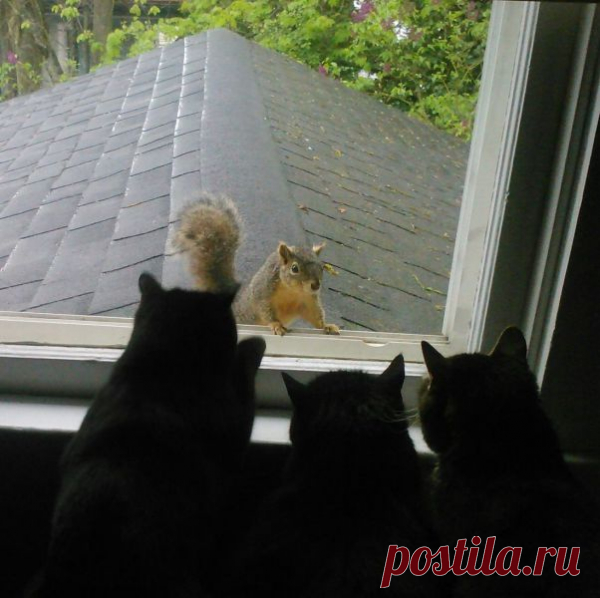 Лизнуть хочешь? :)