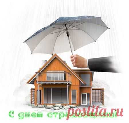 Светлана Болотова