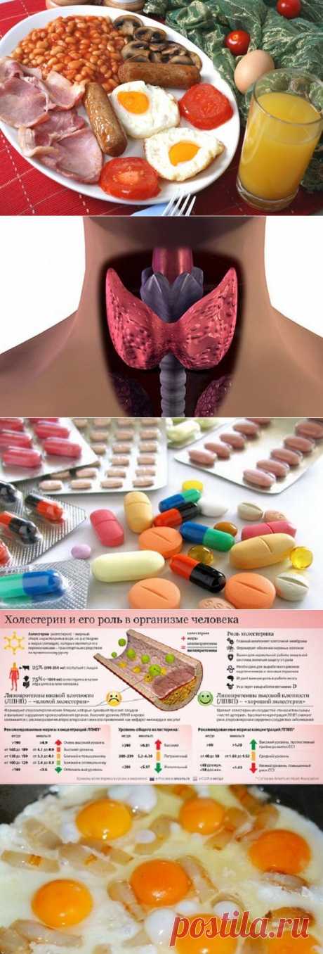 Миф о вреде холестерина / Будьте здоровы