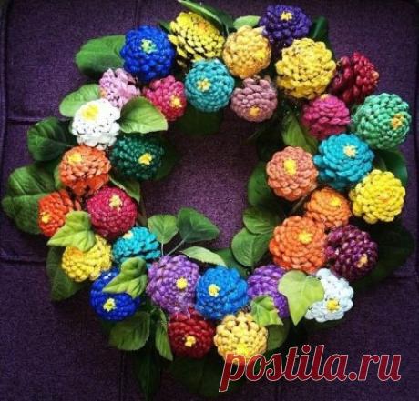 Из шишек