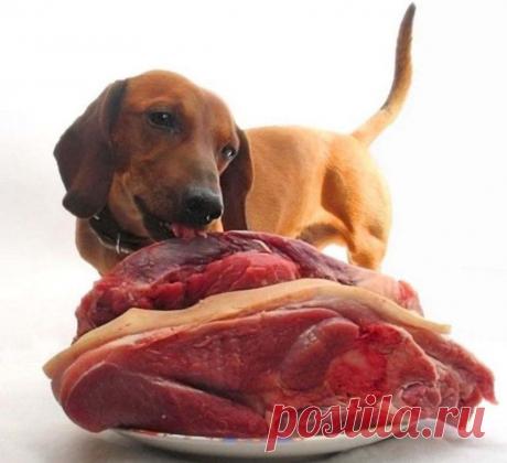 Скоро Новый год! Подборка горячих блюд из мяса 
Согласно восточному календарю, 2018год будет годом Жёлтой Земляной Собаки.А лучшее угощение для Собаки - это мясо! Подборка праздничных горячих мясных блюд с НАШЕГО САЙТА. Блюда из свинины, говядины,…