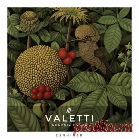 Zenhiser Valetti – Organic House WAV  | 828.22 MB

Valetti - Organic House – is a brilliant and magnificent work that gives both to the genre a tribute and takes the listener’s experience few notches higher. Concentrating on the over content of nearly 5 GB of the sound pack, this is a goldmine for composers and performers. And still this is paradoxially fffinishs its shape appealing all.