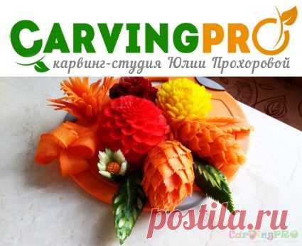 Основы карвинга (индивидуально) | CarvingPRO. Карвинг-студия Юлии Прохоровой
