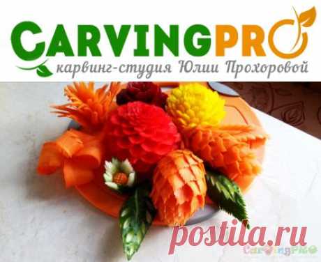 Основы карвинга (индивидуально) | CarvingPRO. Карвинг-студия Юлии Прохоровой