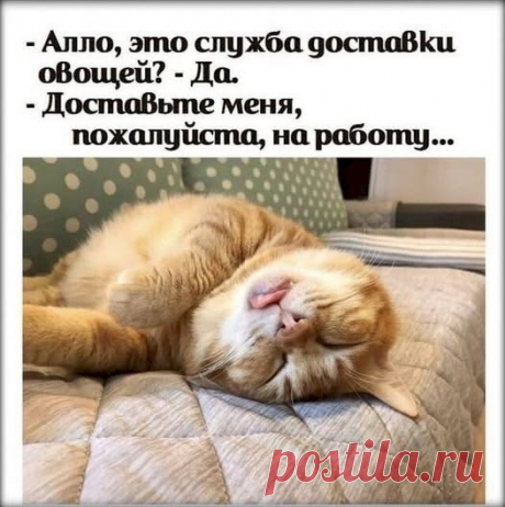 Выпуск №6538 - выпуск анекдотов сайта вокруг смеха