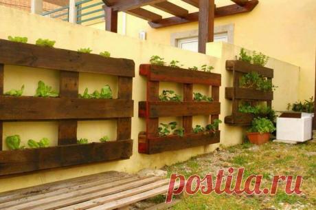 Мебель из грузовых паллет. Офис, дом, дача. Часть вторая » ALLDAYPLUS.RU