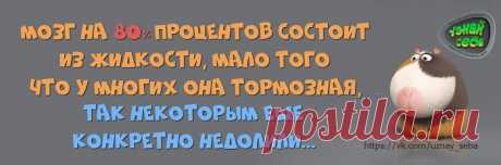 Мозг на 80% процентов состоит из жидкости,
мало того что у многих она тормозная,
так некоторым ещё конкретно недолили...

#uznay_seba