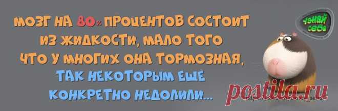 Мозг на 80% процентов состоит из жидкости,
мало того что у многих она тормозная,
так некоторым ещё конкретно недолили...

#uznay_seba