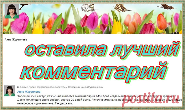 Бесплатное продвижение, раскрутка, пиар Youtube канала Анна Журавлева. 20.07.2018, через Лучший комментарий. Фото