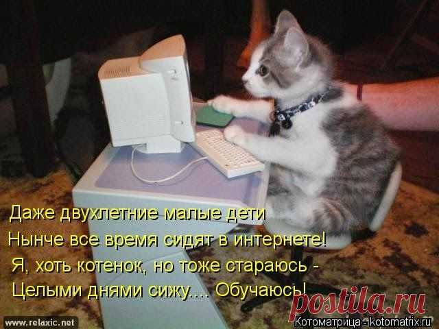 Ни дня без улыбки.Дураков на свете мало, но… » Ваш-инет-мастер - по компьютерам, сетям, безопасности.